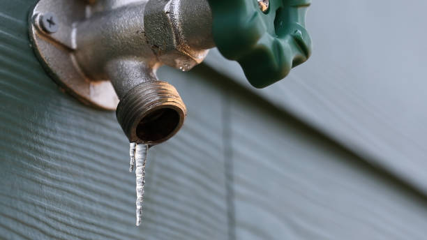 Best Plumbing Inspection Services  in Jacobus, PA